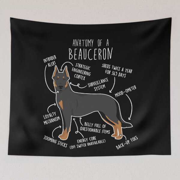 Item preview, Beauceron Cropped Dog Anatomy designed and sold by Clara Hollins.