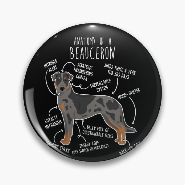 Item preview, Harlequin Beauceron Dog Anatomy designed and sold by Clara Hollins.