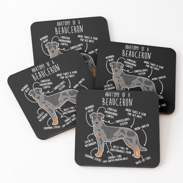Item preview, Harlequin Beauceron Dog Anatomy designed and sold by Clara Hollins.