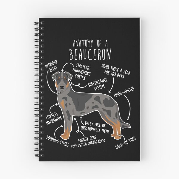 Item preview, Harlequin Beauceron Dog Anatomy designed and sold by Clara Hollins.