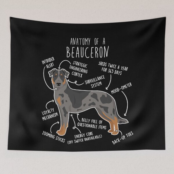 Item preview, Harlequin Beauceron Dog Anatomy designed and sold by Clara Hollins.
