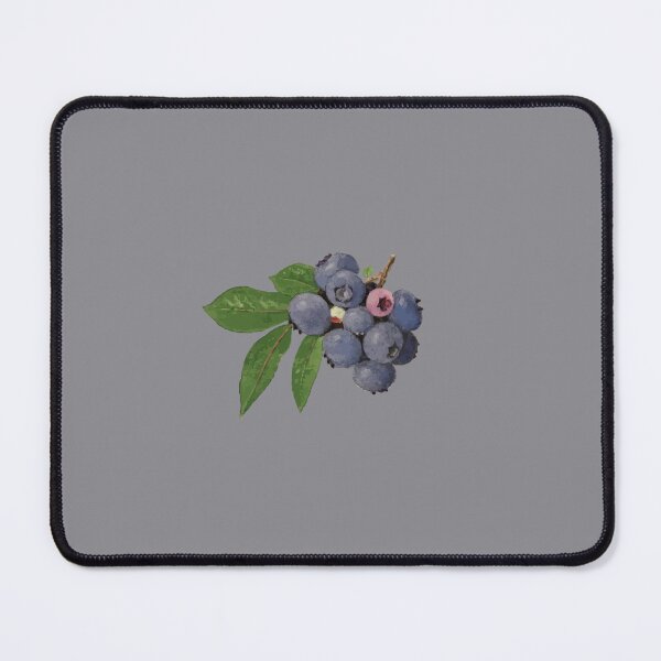 Item preview, Blueberry Berry Pomological Botanical Vector Illustration designed and sold by taiche.