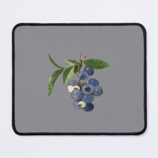 Item preview, Blueberries Berry Pomological Botanical Vector Illustration designed and sold by taiche.