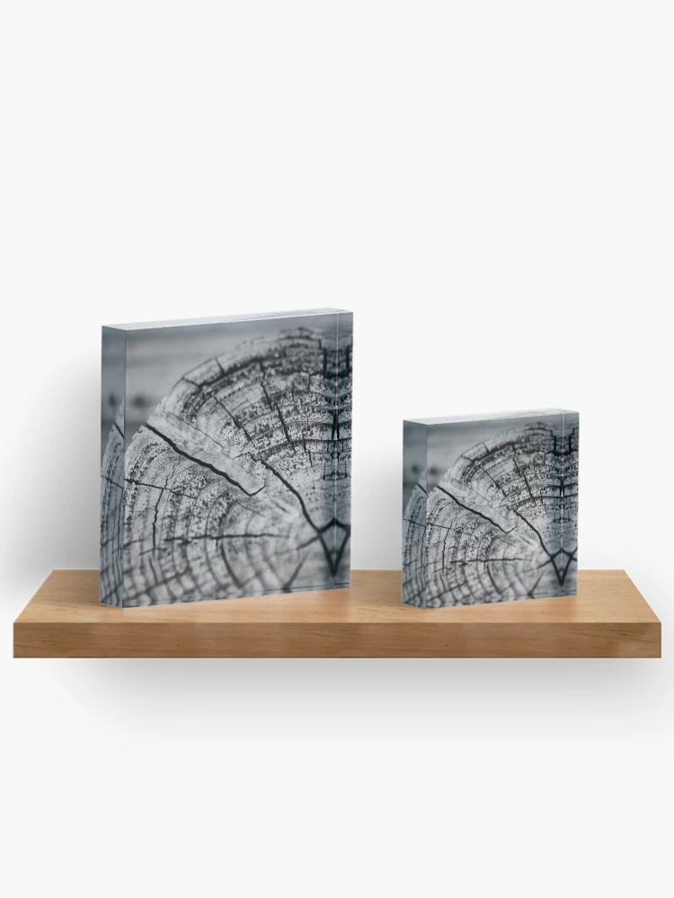 Thumbnail 3 of 5, Acrylic Block, Age Rings designed and sold by Tracy Engle.