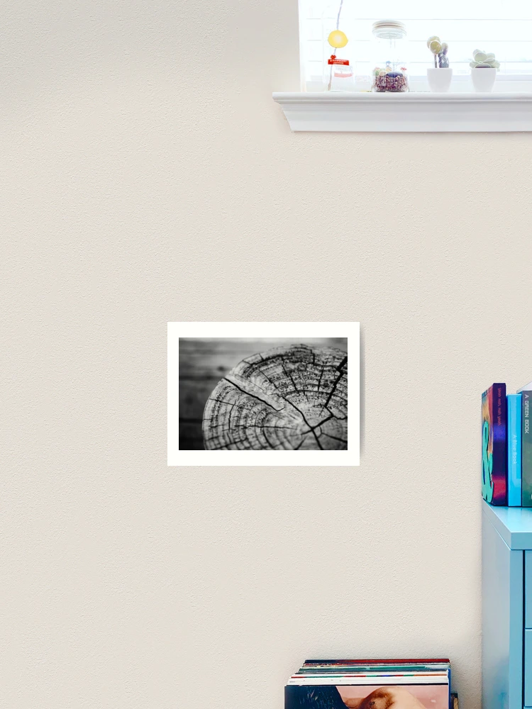 Thumbnail 2 of 3, Art Print, Age Rings designed and sold by Tracy Engle.