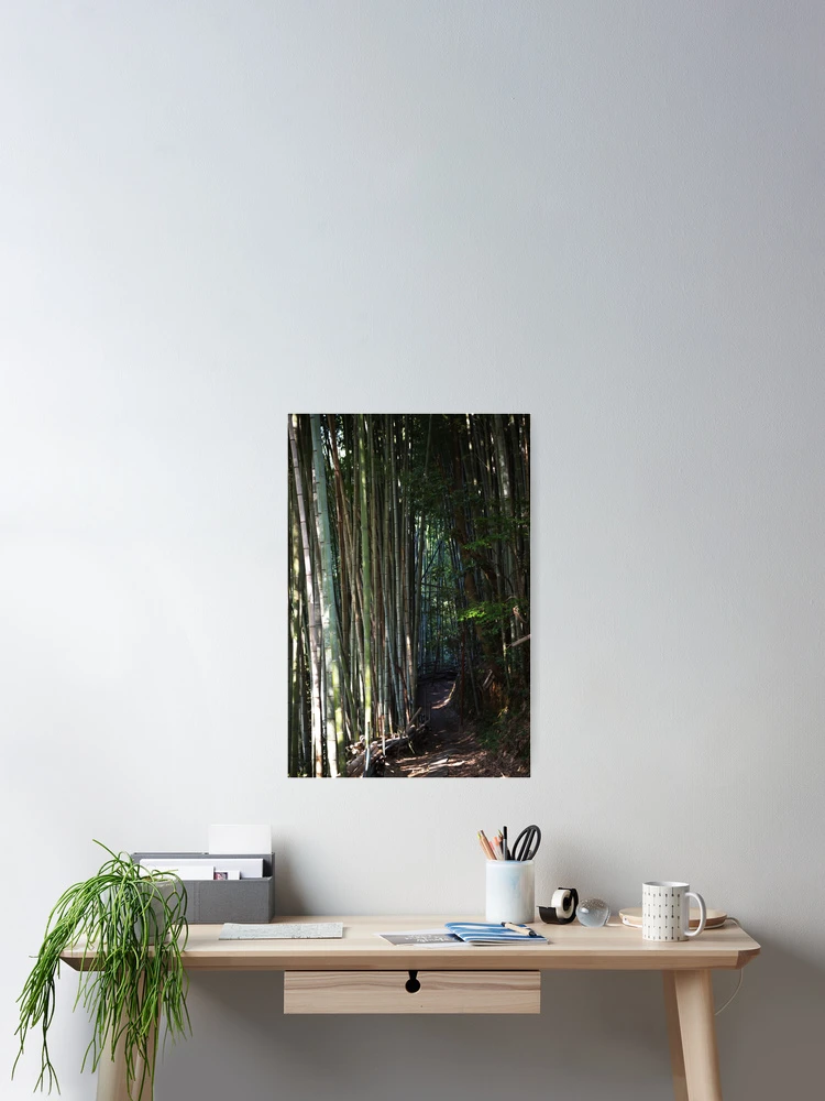 Thumbnail 2 of 3, Poster, Bamboo Path designed and sold by Tracy Engle.