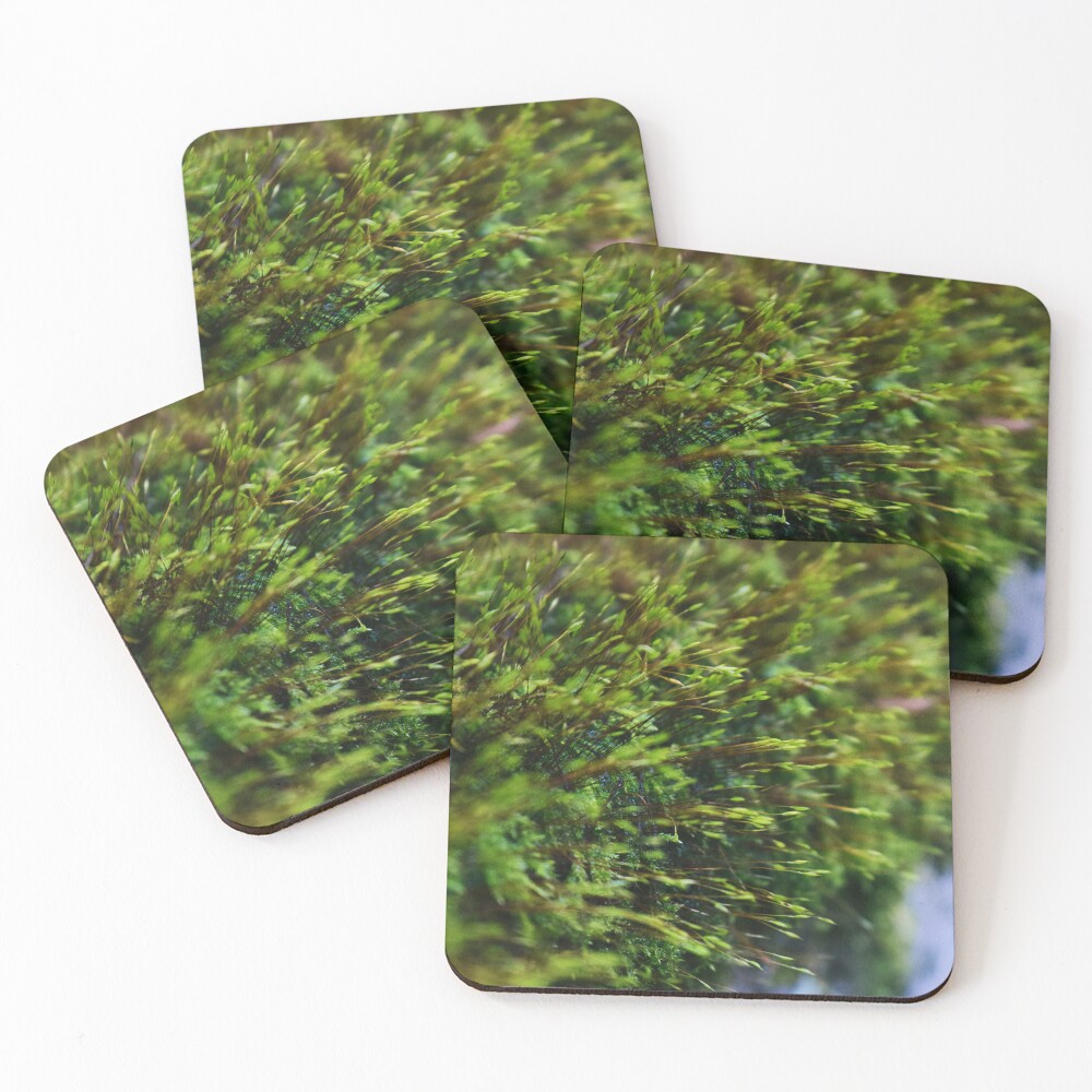 Item preview, Coasters (Set of 4) designed and sold by Reriginal.