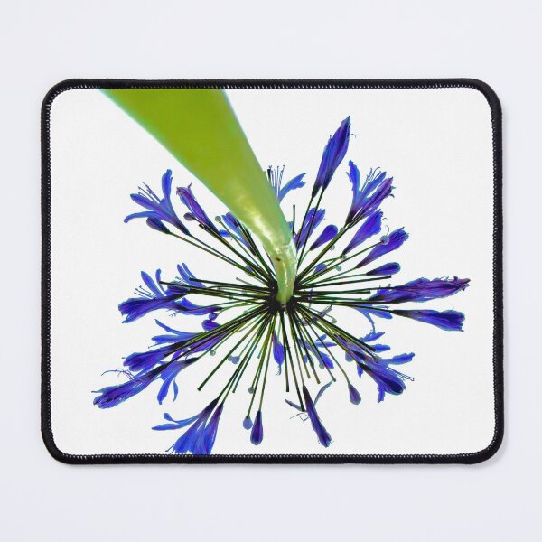 Item preview, Vibrant Purple Flower With Green Stem Photograph (shot from underneath) designed and sold by KCMagrath.