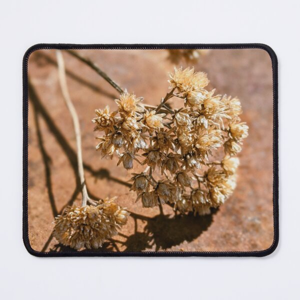 Item preview, Dry Yarrow designed and sold by Tracy Engle.