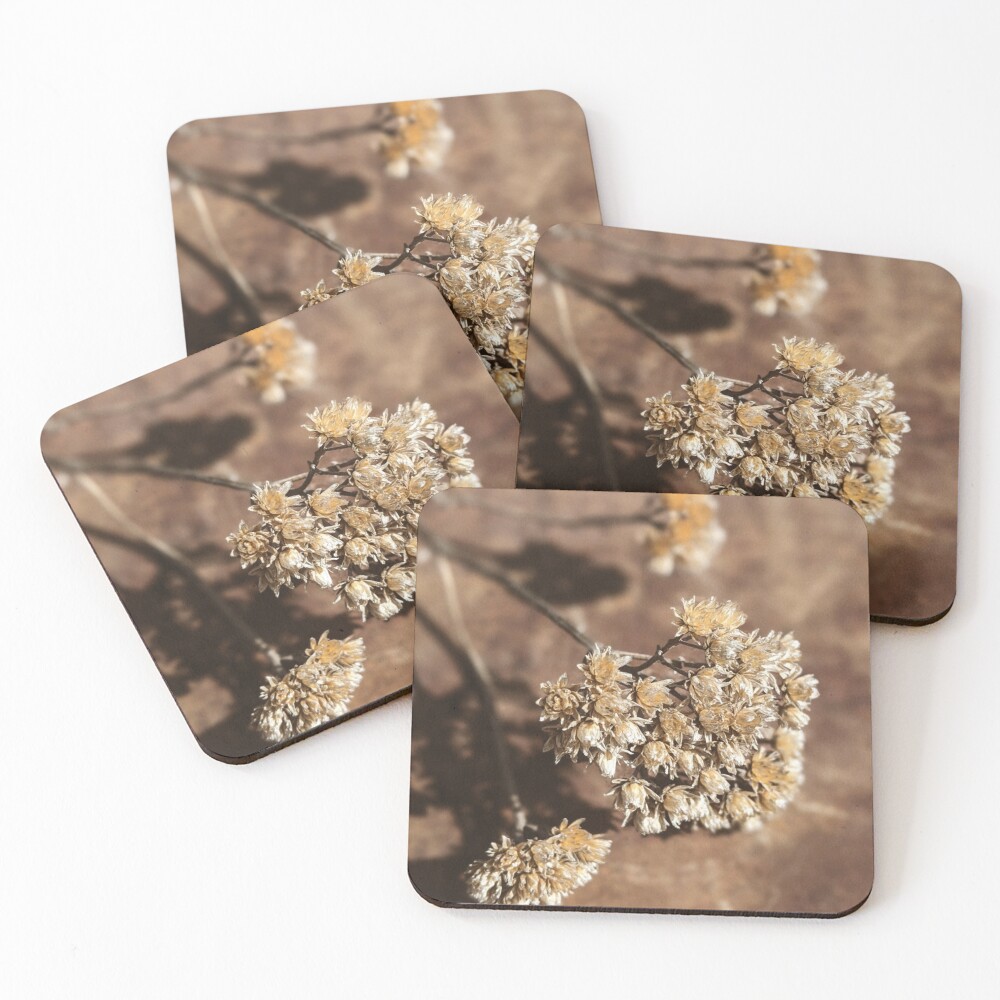 Item preview, Coasters (Set of 4) designed and sold by Reriginal.