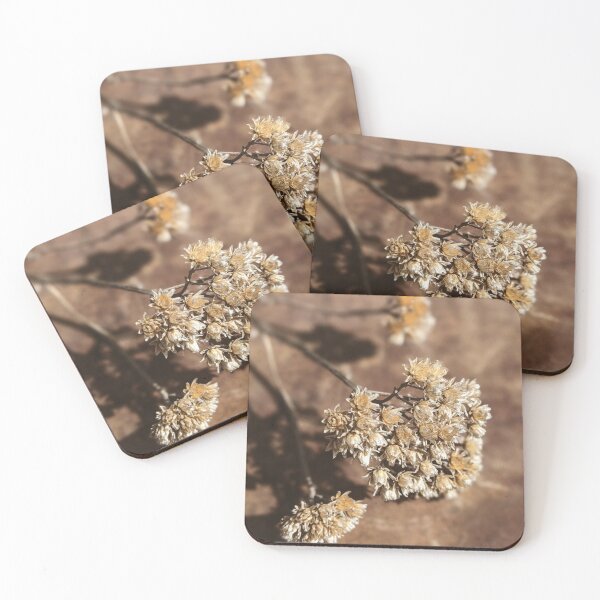 Item preview, Dried designed and sold by Tracy Engle.