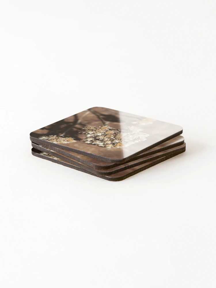 Thumbnail 4 of 5, Coasters (Set of 4), Dried designed and sold by Tracy Engle.