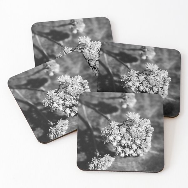 Item preview, Dried - Monochrome designed and sold by Tracy Engle.
