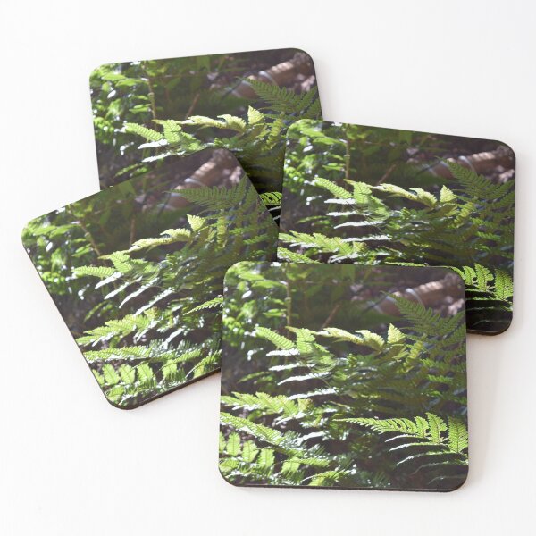 Item preview, Ferns in Sunlight designed and sold by Tracy Engle.