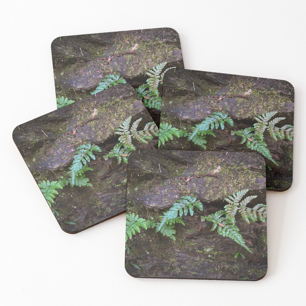 Item preview, Coasters (Set of 4) designed and sold by Reriginal.