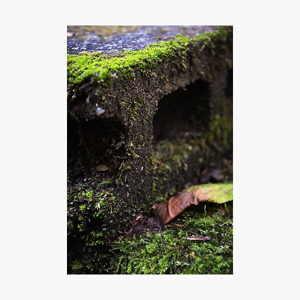 Item preview, Moss on Brick designed and sold by Tracy Engle.