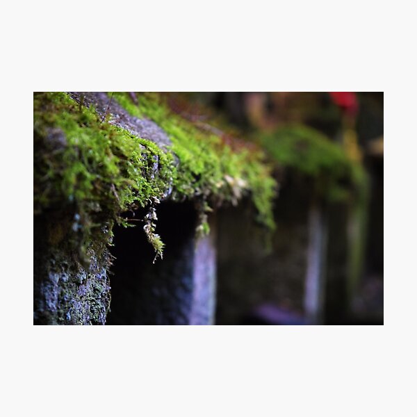 Item preview, Moss Overhang designed and sold by Tracy Engle.
