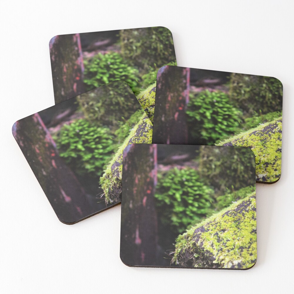 Item preview, Coasters (Set of 4) designed and sold by Reriginal.