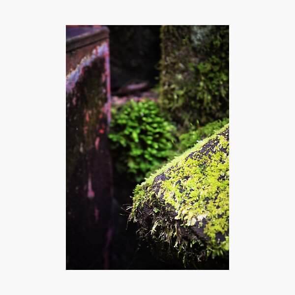 Item preview, Moss Shapes designed and sold by Tracy Engle.