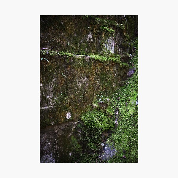 Item preview, Moss Wall designed and sold by Tracy Engle.