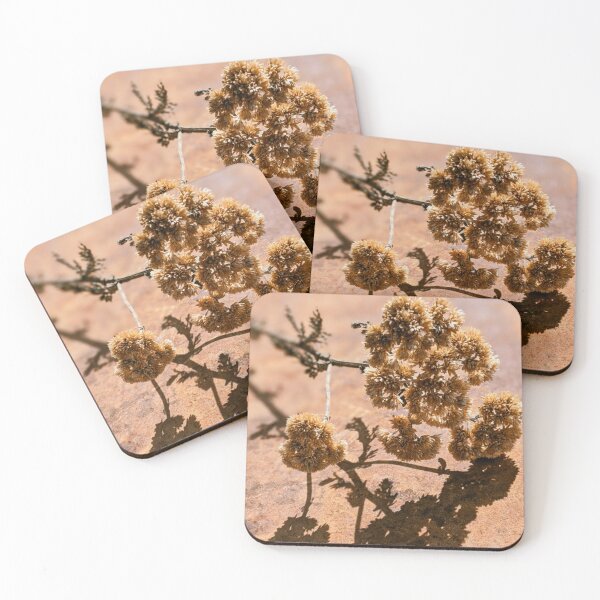 Item preview, Old Yarrow designed and sold by Tracy Engle.