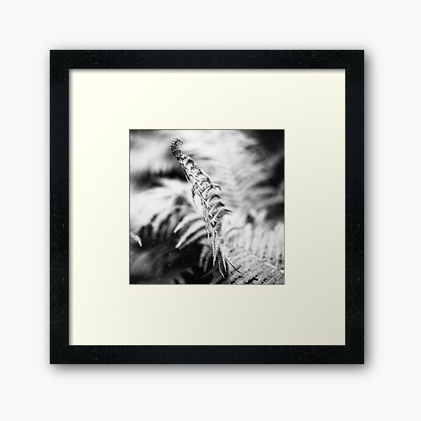 Item preview, about the fern designed and sold by sunside.