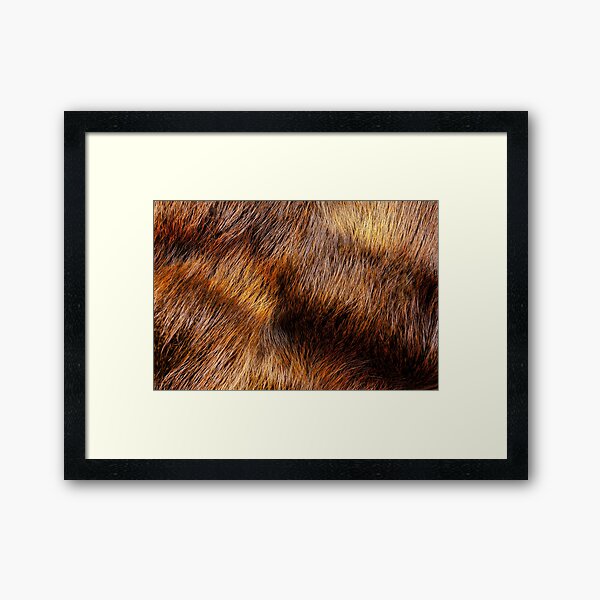 Vista previa del artículo con la obra «Pelaje de animales de color rojo anaranjado, pelo de animal», diseñado y vendido por IKT224.