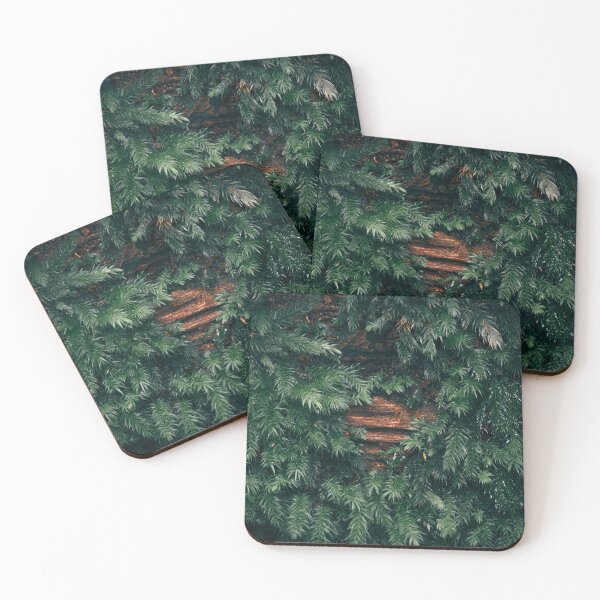 Item preview, Moss covered tree designed and sold by robdanimalphotography.