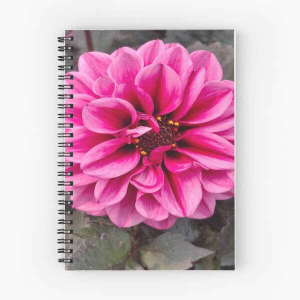 Item preview, Flowers 2 Photo Art colourful designed and sold by SmashingDeals.