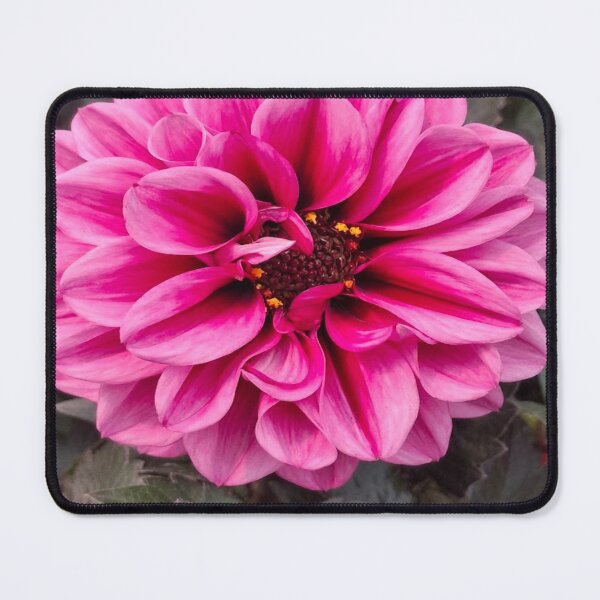 Item preview, Flowers 2 Photo Art colourful designed and sold by SmashingDeals.