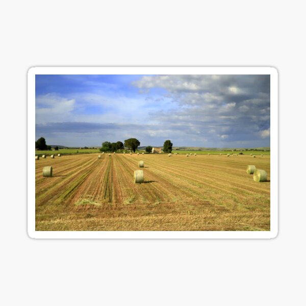 Item preview, Rural landscape designed and sold by annalisa56.