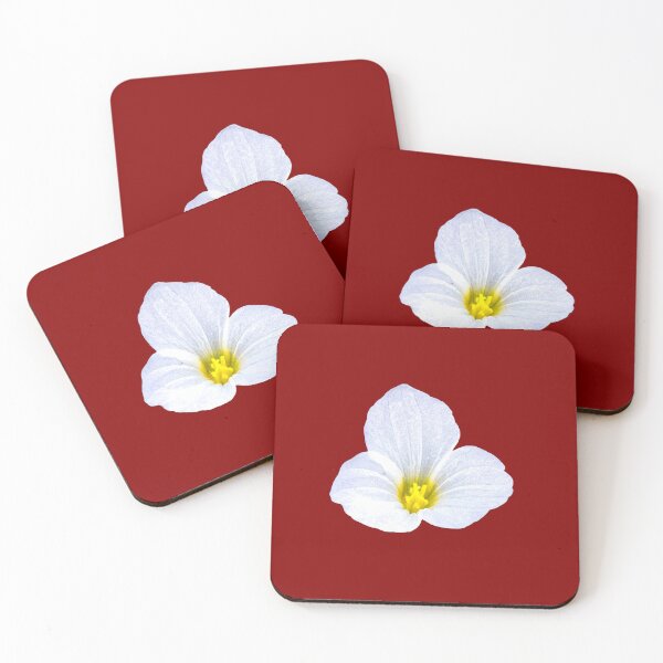 Item preview, white flowers of Ottelia alismoides designed and sold by MiMee4451.
