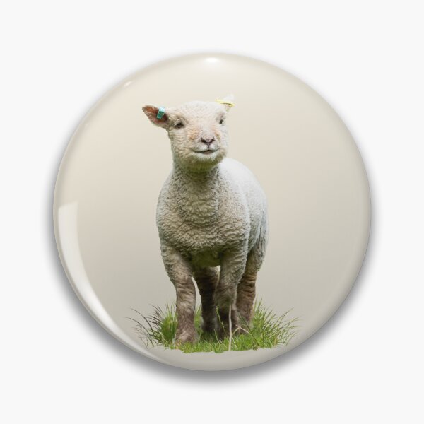 Item preview, Southdown Lamb Placement Print designed and sold by Jane Stanley Photography.