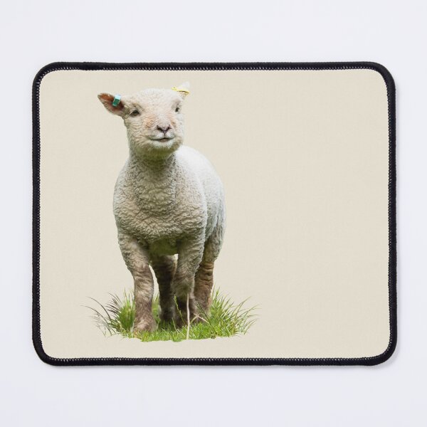 Item preview, Southdown Lamb Placement Print designed and sold by Jane Stanley Photography.