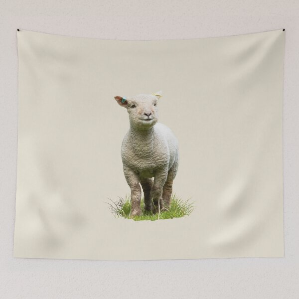 Item preview, Southdown Lamb Placement Print designed and sold by Jane Stanley Photography.