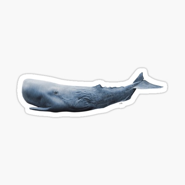 Item preview, White Whale Sperm Whale Sea Ocean Animal Art designed and sold by oz10.