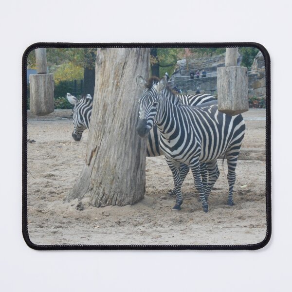 Item preview, Zebras designed and sold by GooglyEyes-.