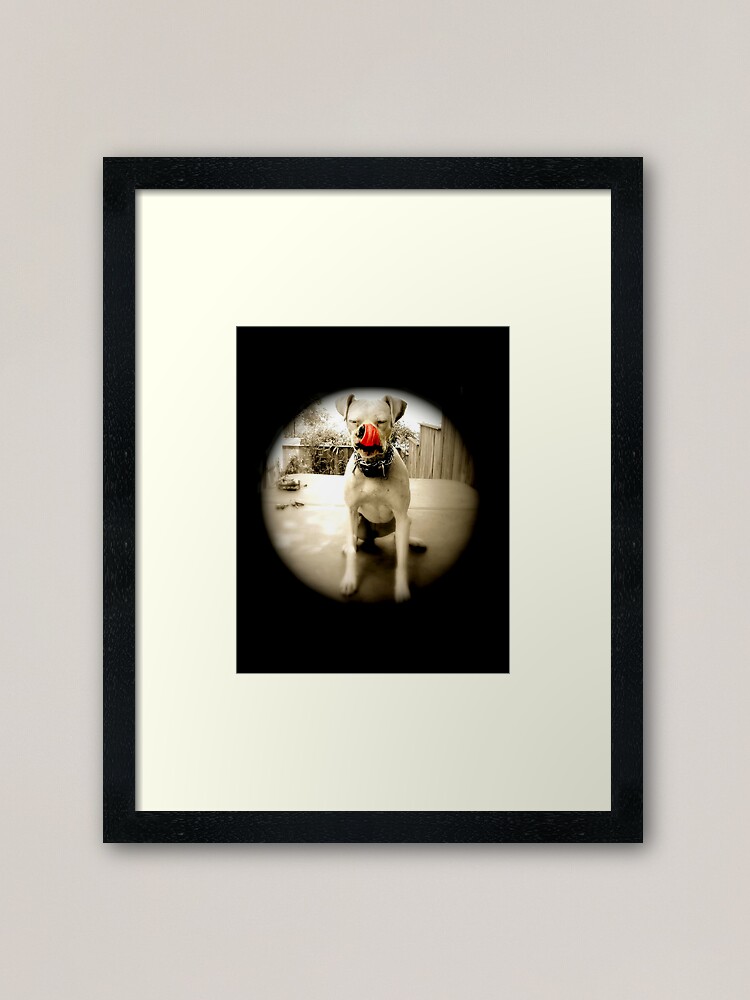 Thumbnail 2 of 7, Framed Art Print, Who Ate The Trash?. designed and sold by jdempsey.