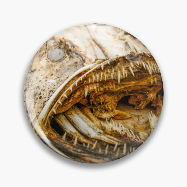 Item preview, Dried monkfish  or angler fish designed and sold by Photopat.