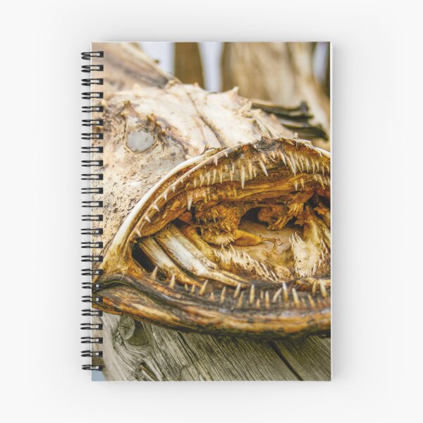 Item preview, Dried monkfish  or angler fish designed and sold by Photopat.