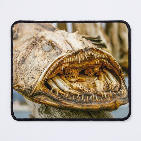 Item preview, Dried monkfish or angler fish designed and sold by Photopat.