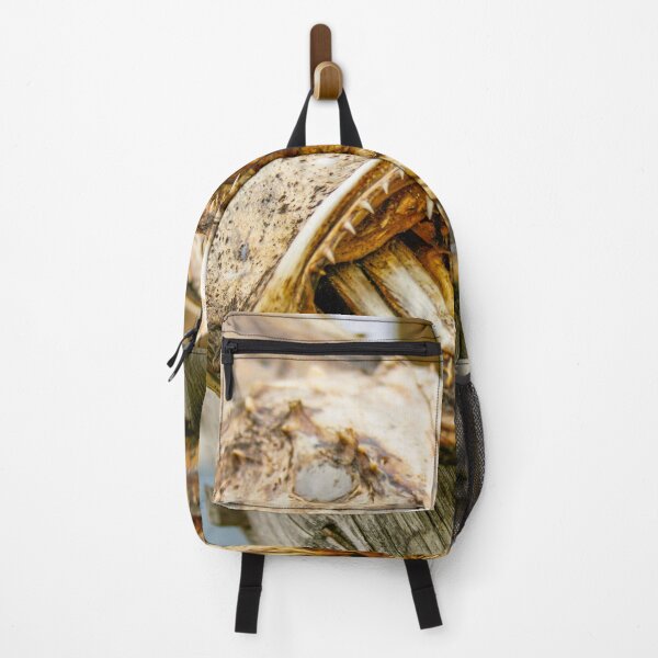 Item preview, Dried monkfish or angler fish designed and sold by Photopat.
