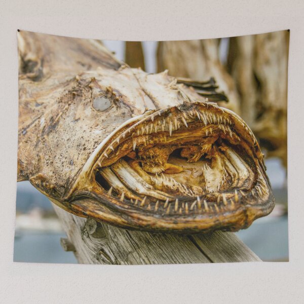 Item preview, Dried monkfish  or angler fish designed and sold by Photopat.