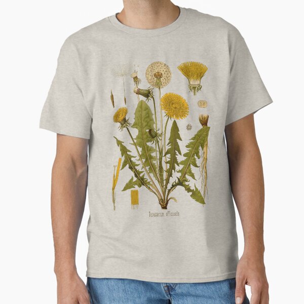 Item preview, DANDELION Antique botanical illustration designed and sold by FLIP-original.