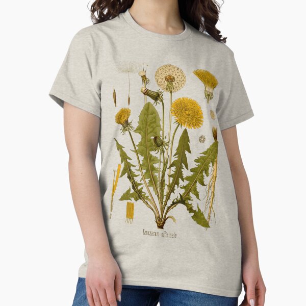 Artikel-Vorschau von Löwenzahn - Vintage botanische Illustration , designt und verkauft von FLIP-original.