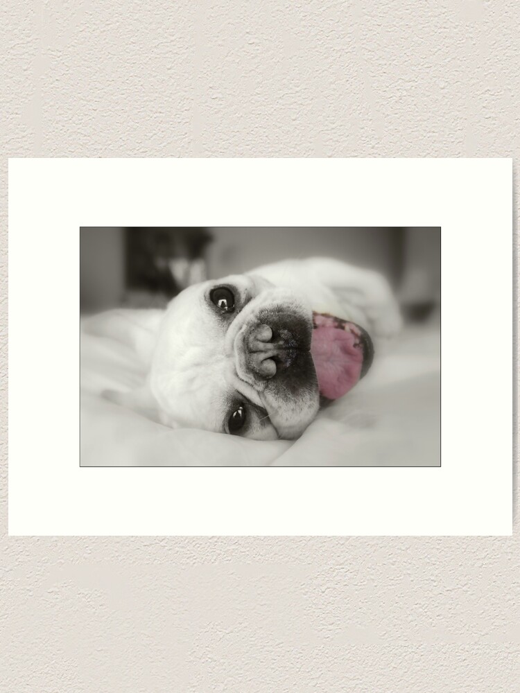 Thumbnail 2 of 3, Art Print, French Kiss designed and sold by jdempsey.