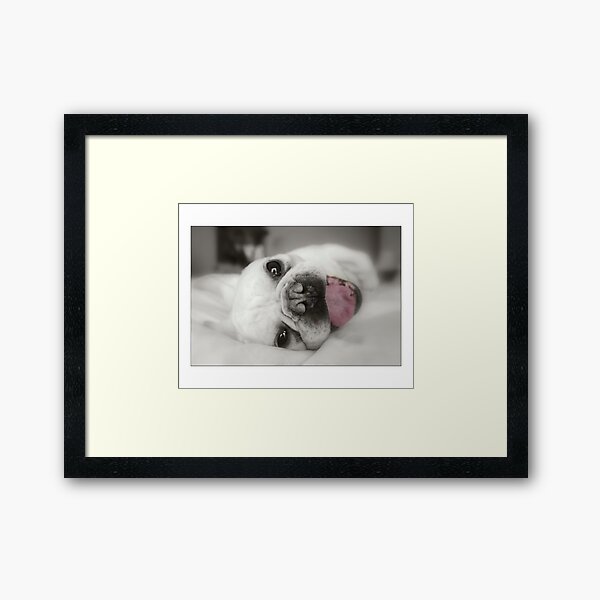 Framed Art Print