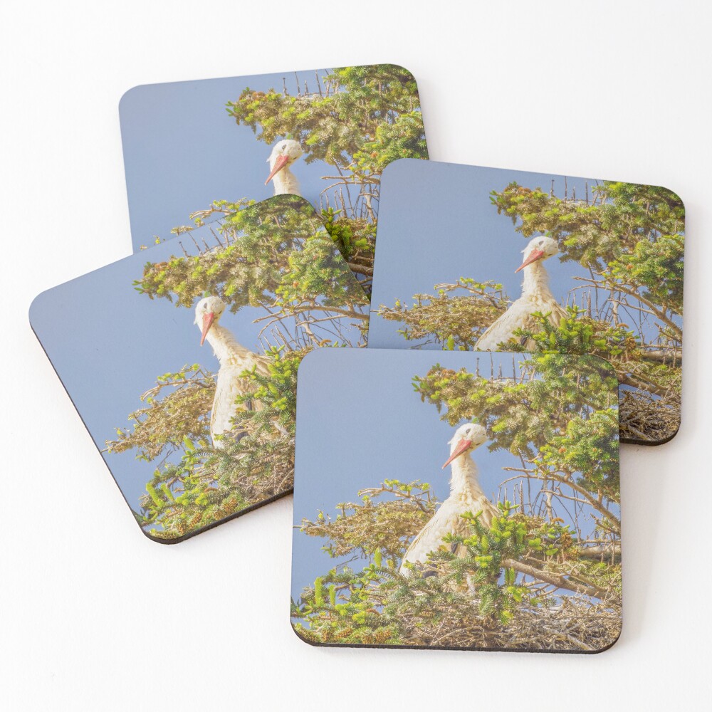 Item preview, Coasters (Set of 4) designed and sold by RalphGoldsmith.