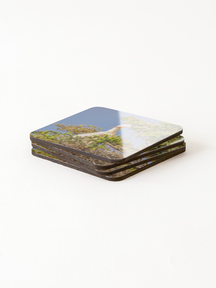 Thumbnail 4 of 5, Coasters (Set of 4), Stork Query designed and sold by RalphGoldsmith.