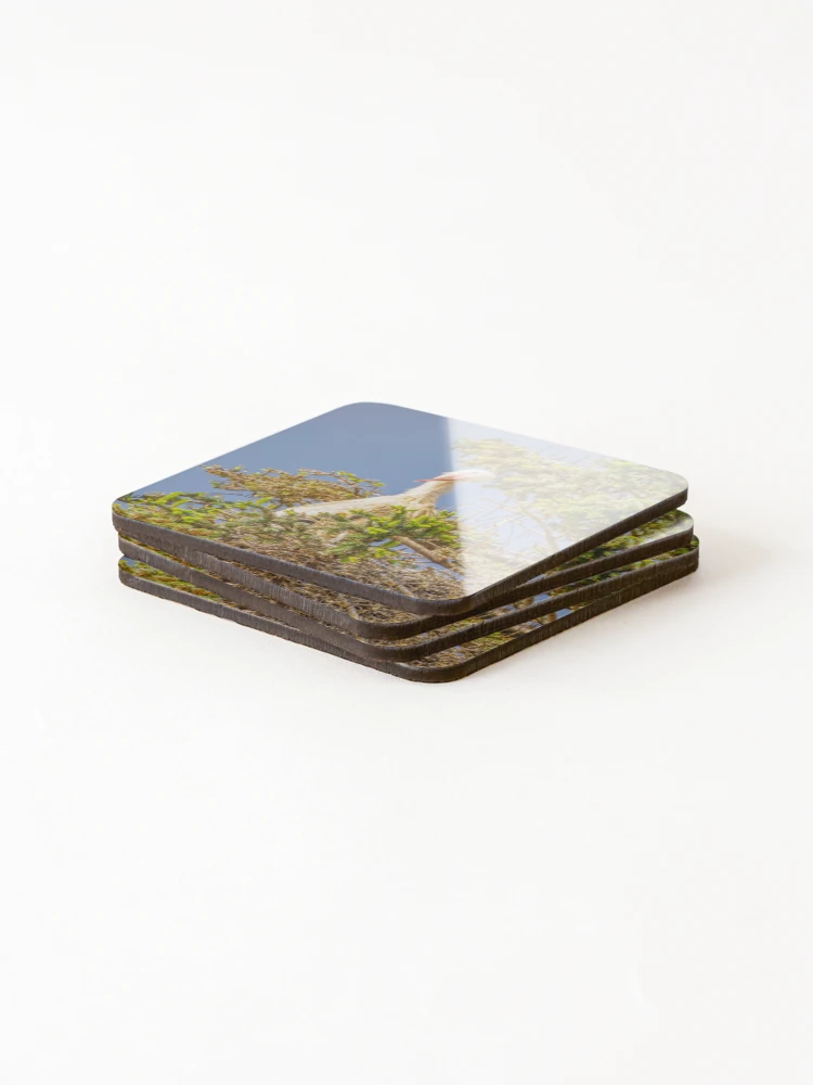 Thumbnail 4 of 5, Coasters (Set of 4), Stork Query designed and sold by Ralph Goldsmith.